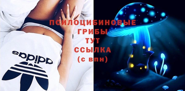 тгк Майский