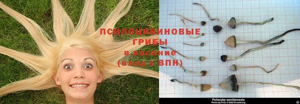 тгк Майский