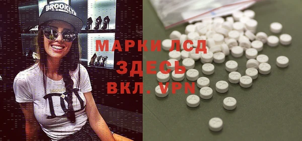 сатива Новочеркасск